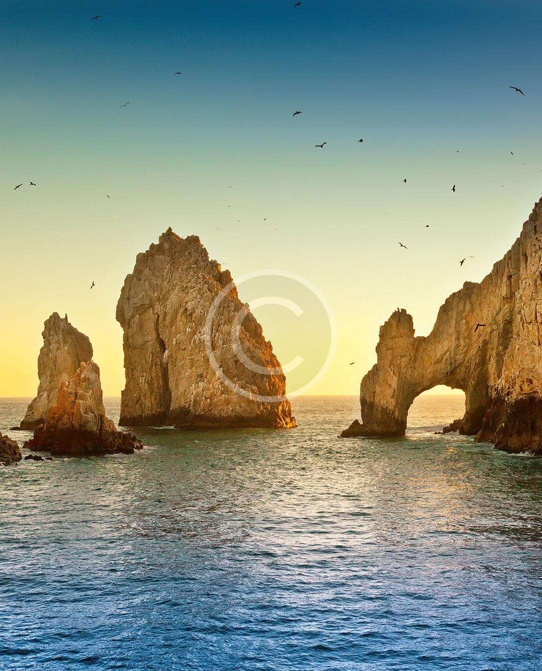 Special Event Transportatio